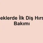 bebeklerde-ilk-dis-hirsi-ve-bakimi