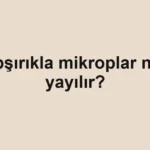 hapsirikla-mikroplar-nasil-yayilir