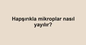 hapsirikla-mikroplar-nasil-yayilir